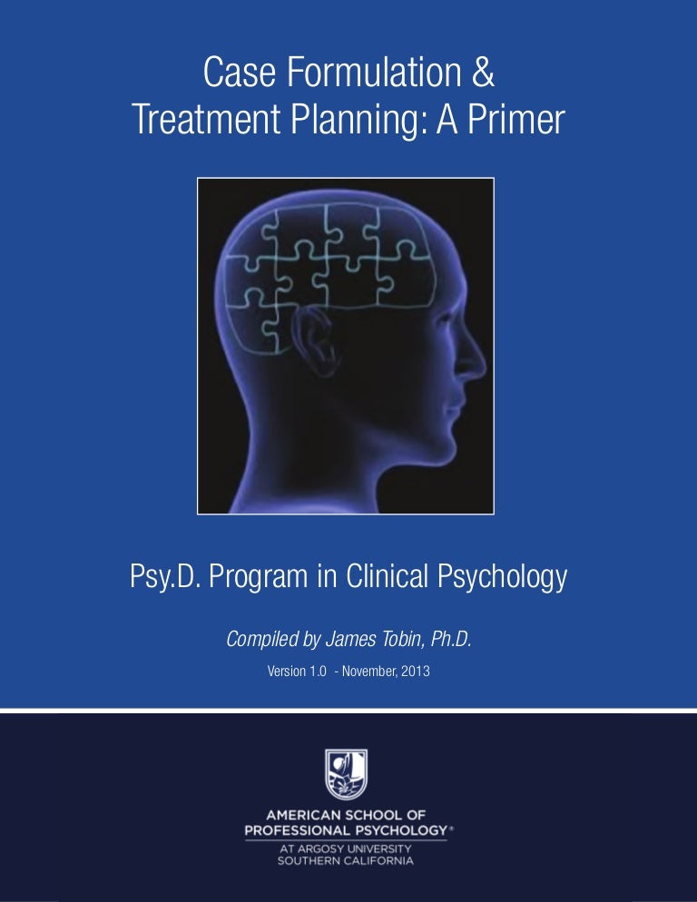 Individual Case Formulation (Practical Resources for the Mental Health Professional)